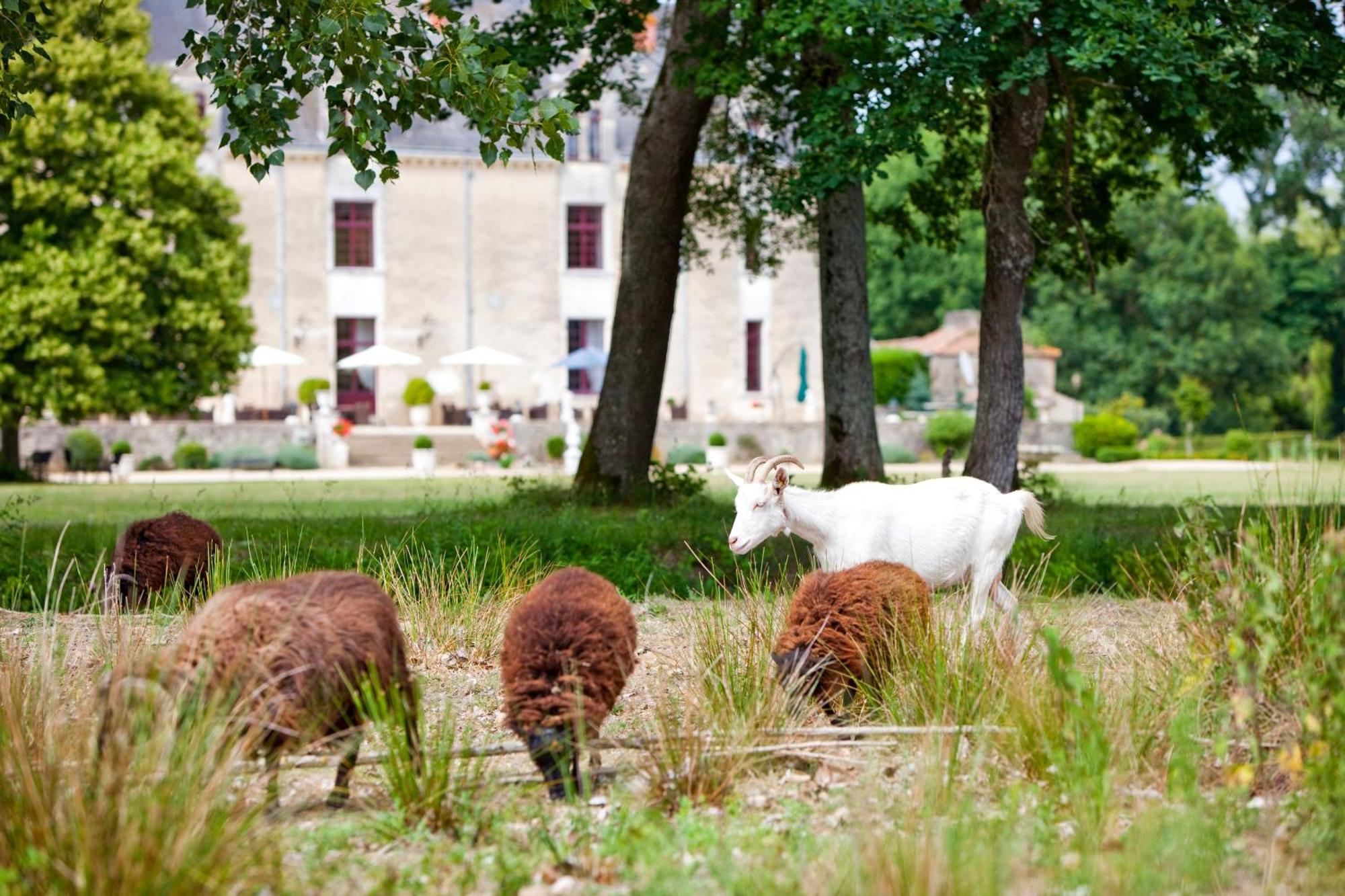 Chateau De La Verie Шалан Екстериор снимка